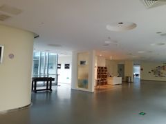 -深圳东部华侨城茵特拉根酒店