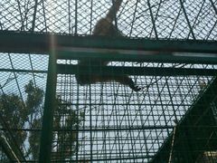 -泉州海丝野生动物世界