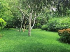 -迎泽公园