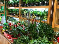 -大润发(浒关店)