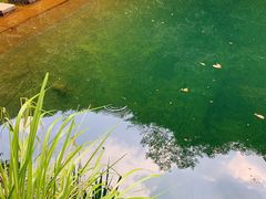 -白云源风景区