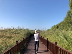 -北京麋鹿生态实验中心