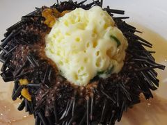 海胆-南蚝小贝海鲜特色餐厅(南澳岛店)
