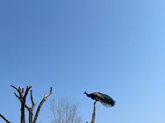 -杭州野生动物世界