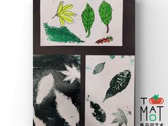 -学知乐教育·幼小衔接·小学科辅导(浦东外高桥森兰中心)