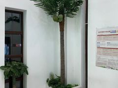 -茶大椰·椰子茶(星悦荟店)