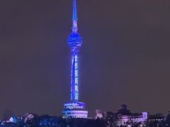 -武汉两江游览·夜游长江(汉口粤汉码头)