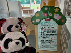-金泽21世纪美术馆