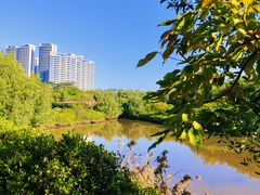 -大亚湾红树林城市湿地公园