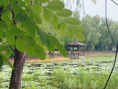 -同里国家湿地公园