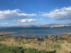 -洱海月湿地公园