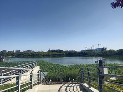 -大兴滨河森林公园