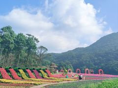 -广州市石门国家森林公园