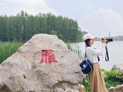 -东湖落雁景区