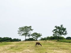 -良渚古城遗址公园