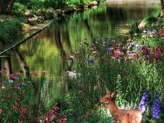 -上海共青森林公园