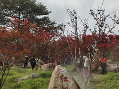 -广州市帽峰山景区