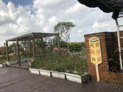 点击看大图 -小蜜蜂农场(凯德七宝购物广场店)