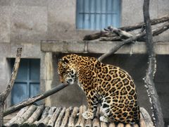 -西安秦岭野生动物园