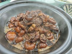 -沪依小酒馆心意菜