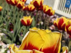 -上海浦江郊野公园·1号停车场