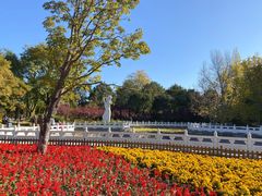 -丰台花园