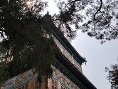 -颐和园