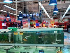 -世纪联华超市(浦电路店)