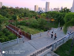 -金鸡岭桥头公园
