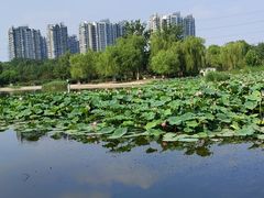 -太阳宫公园