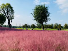 -汉长安城未央宫国家考古遗址公园