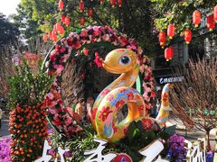 -越秀西湖花市(广州城市广场花卉店)