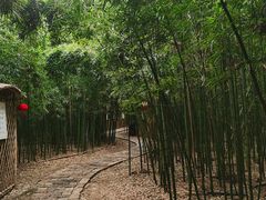 -同里国家湿地公园