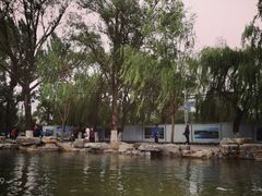 -西宁市人民公园(城西区)