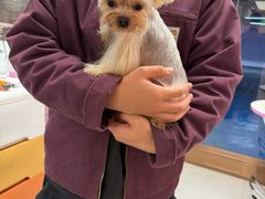 -FAELING PETS美天灵宠物(富力广场店)