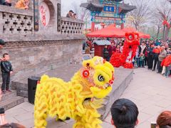 -大槐树寻根祭祖园