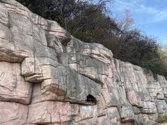 -北京西山国家森林公园