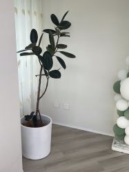 -HEYAN荷妍专业脱毛连锁机构
