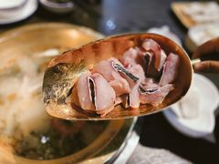 -土著渔匠·养生蝴蝶鱼(香樟路店)