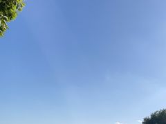 -莲花岛景区