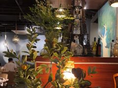 -咖法森林·咖啡  酒吧(天河店)