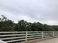 -广东工业大学(大学城校区)
