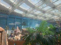 -青岛东方影都融创水世界