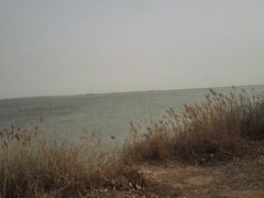 -包头南海湿地景区