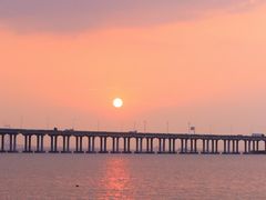 -宝安西湾红树林湿地公园