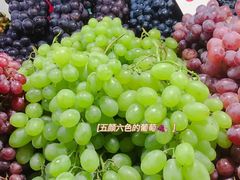 -港华水果街(港华广场店)