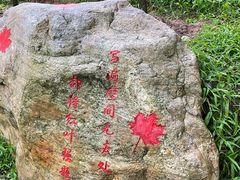 -广州市帽峰山景区
