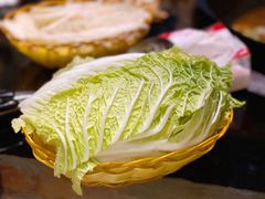 大白菜-姥家大锅台水库渔家