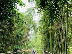 -龙头寺公园