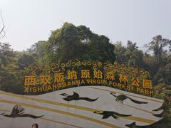 -西双版纳原始森林公园